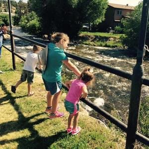 Meet your Posher, Greg